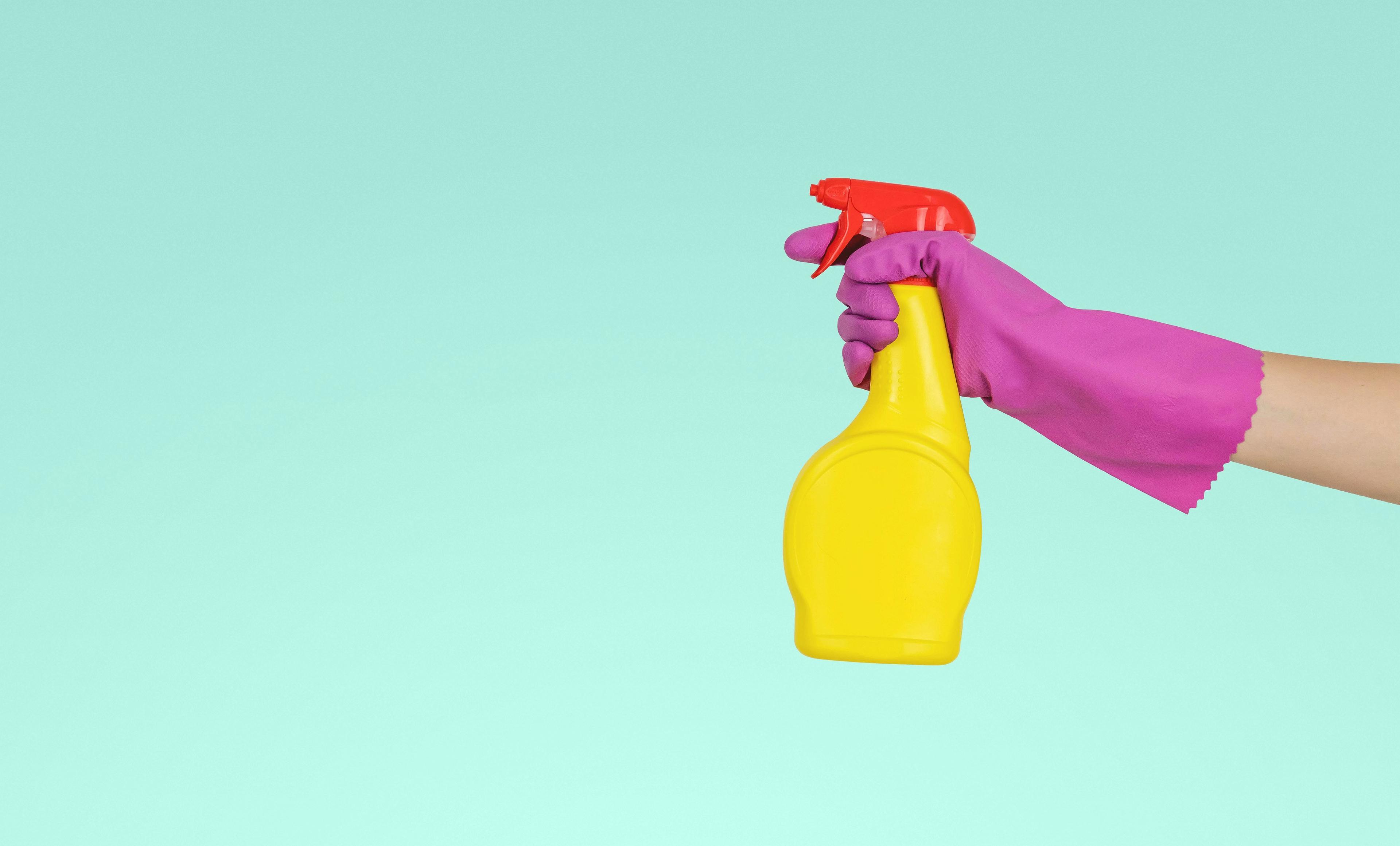 Professional cleaning service